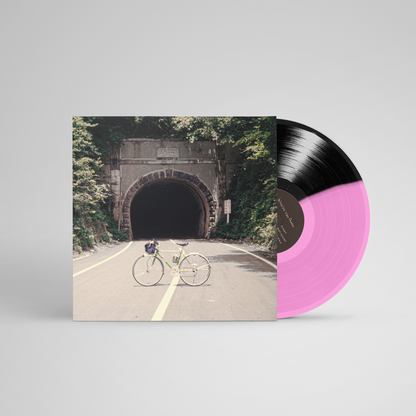 The Backseat Lovers - When We Were Friends LP
