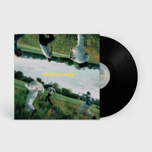The Band CAMINO - NeverAlways LP