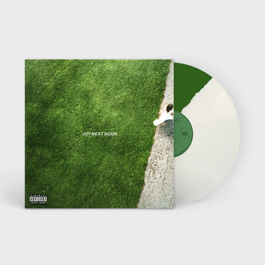 The Maine - Joy Next Door LP