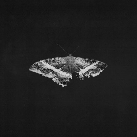 Kendrick Lamar - To Pimp A Butterfly (10 Year Anniversary Edition) 2xLP